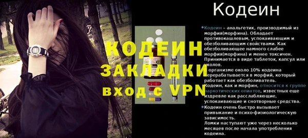 стафф Протвино