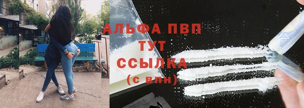 амф Приозерск