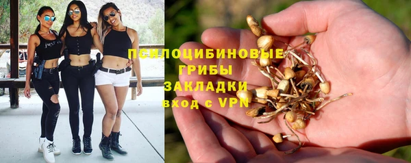 амф Приозерск
